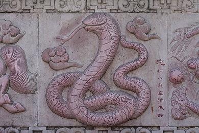 《怪物猎人：荒野》玩家数暴跌 流失速度超《世界》