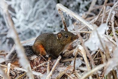 《铁拳8》开发者访谈 回应网友将改善效果过于华丽